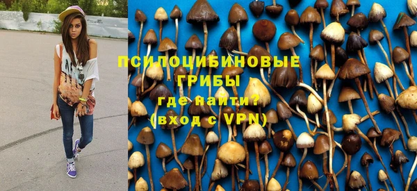 spice Нязепетровск