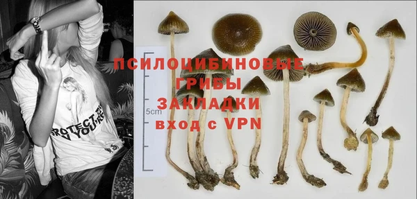 кристаллы Новодвинск