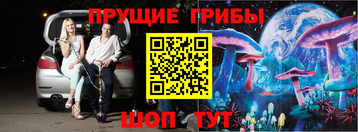 Псилоцибиновые грибы MAGIC MUSHROOMS  купить наркотик  Псилоцибиновые грибы MAGIC MUSHROOMS  Мыски 