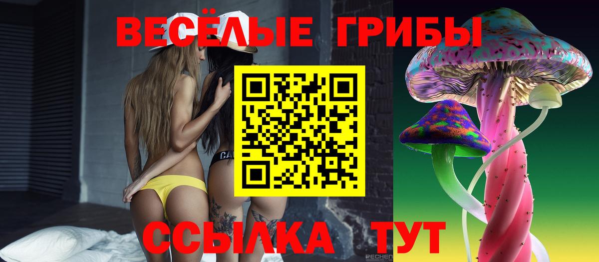 Псилоцибиновые грибы Psilocybe  Вход с VPN  купить наркотики сайты  Мыски 