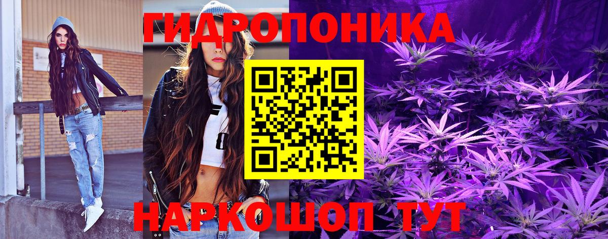Канабис AK-47  Канабис AK-47  Мыски 